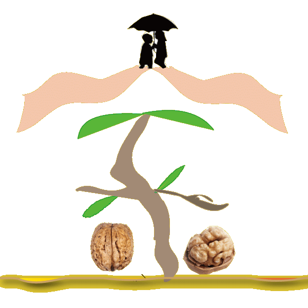 核桃之家--好素家.打造健康可信任综合生活服务平台；核桃当家.厂家供应商店铺的好助手